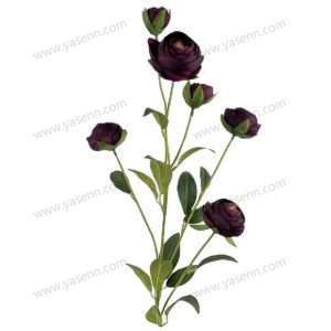 import placeholder for 1556