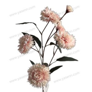 import placeholder for 1597