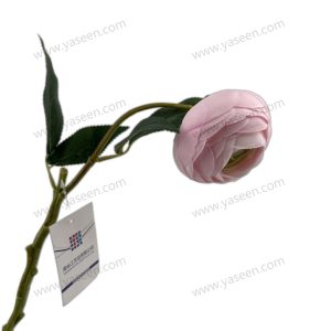 import placeholder for 1677