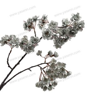 import placeholder for 1552