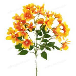 import placeholder for 1255