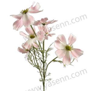 import placeholder for 1493