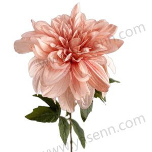 import placeholder for 1501