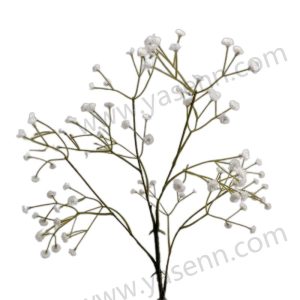 import placeholder for 1506