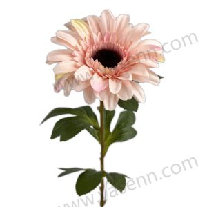 import placeholder for 1527