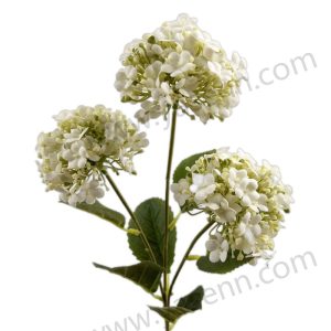 import placeholder for 1655