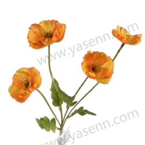 import placeholder for 1593