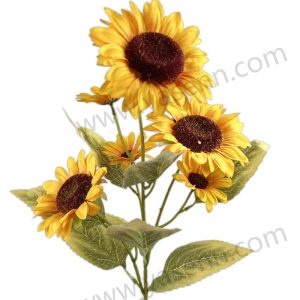 import placeholder for 1364
