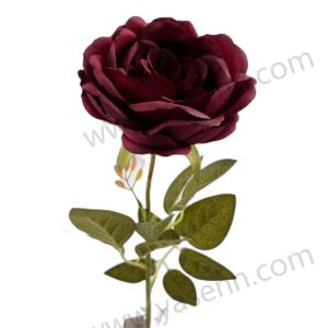 import placeholder for 1402