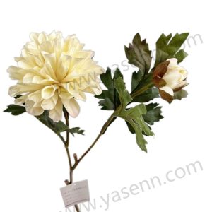 import placeholder for 1548