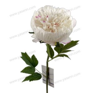 import placeholder for 1520