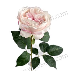 import placeholder for 1496